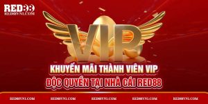 Khuyến Mãi Thành Viên VIP Độc Quyền Tại Nhà Cái Red88